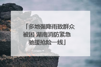 多地强降雨致群众被困 湖南消防紧急驰援抢险一线